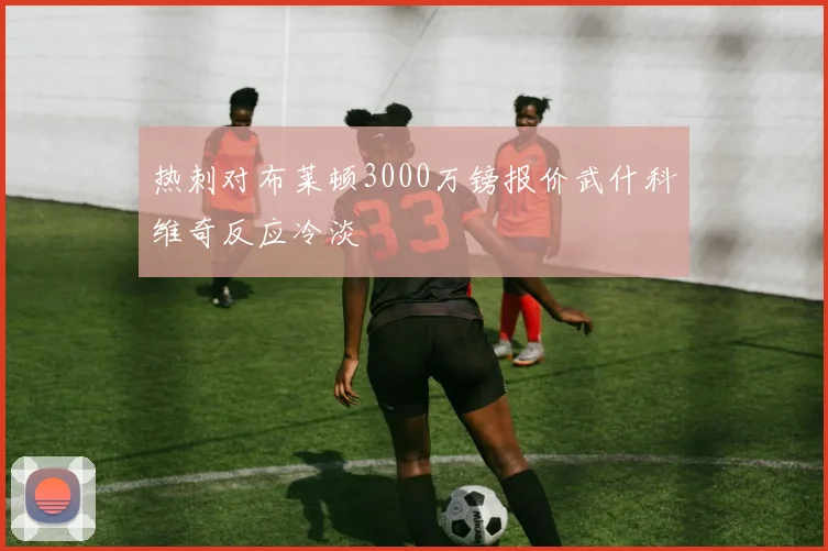 热刺对布莱顿3000万镑报价武什科维奇反应冷淡