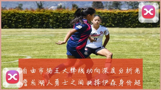 自由市场五大锋线动向深度分析老詹或湖人勇士之间抉择伊森身价超2000万