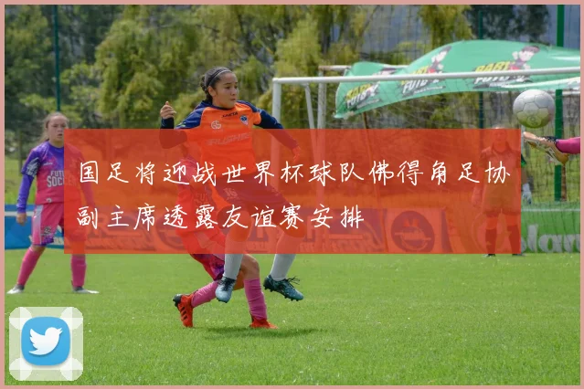 国足将迎战世界杯球队佛得角足协副主席透露友谊赛安排